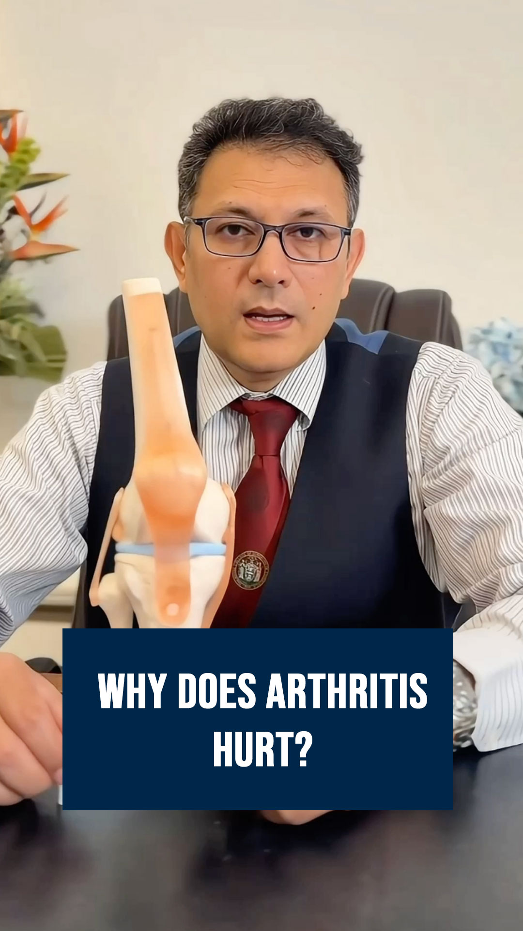 Knee osteoarthritis is not just "wear and tear." As cartilage wears down, inflammation builds inside the joint, causing