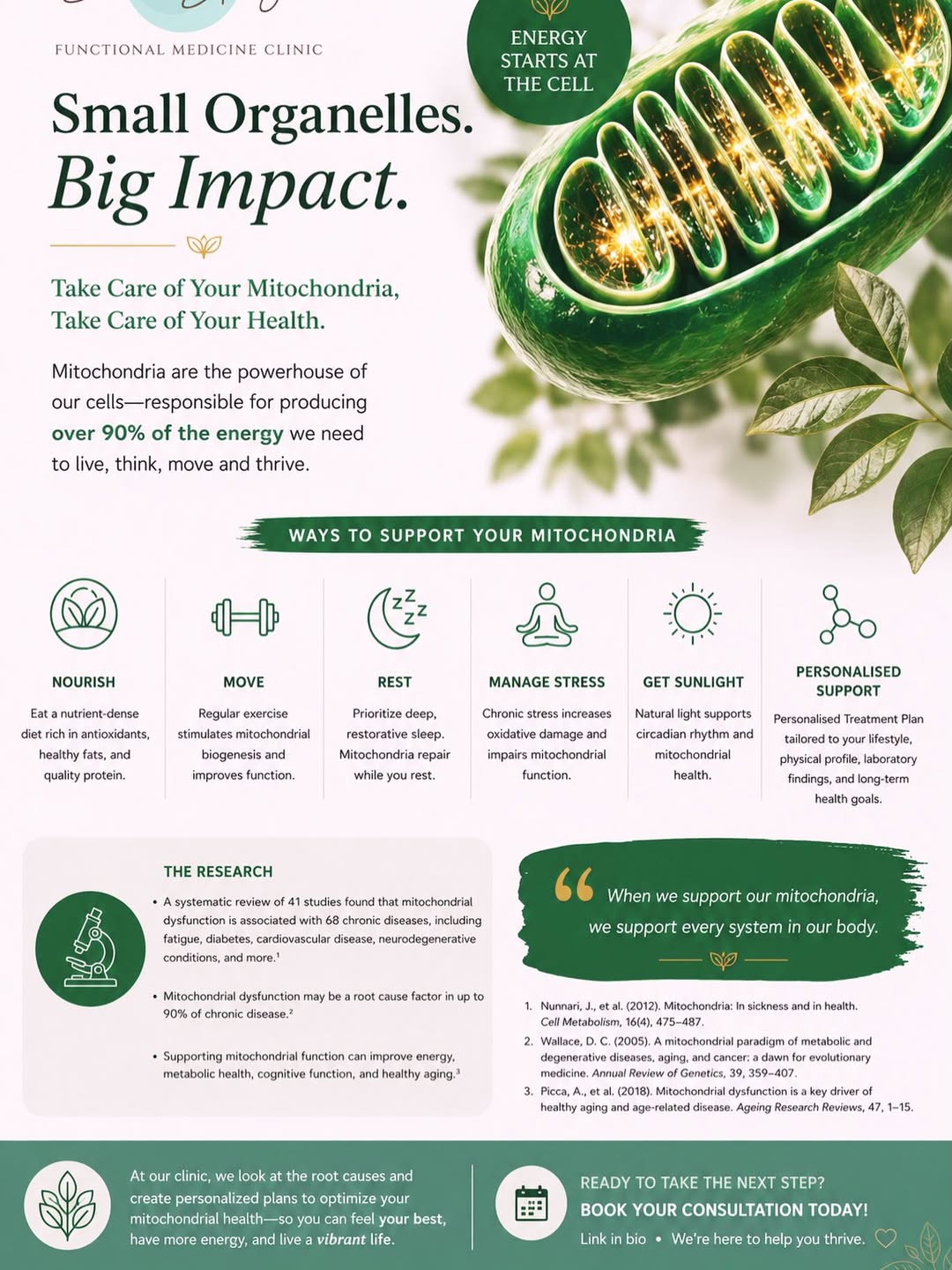 Mitochondria produce over 90% of the energy your body needs.
When your cells thrive, you thrive.
At Dr Stavy Functiona