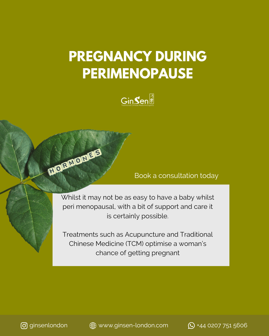 🌿 Pregnancy During Perimenopause⁠
⁠
Pregnancy during perimenopause may be more challenging, but it is still possible. Du