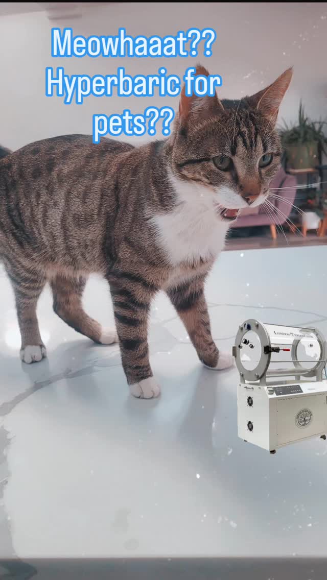 Hyperbaric Oxygen Therapy isn’t just for humans, animals benefit too. 🐾💨
From wound healing to inflammation relief, HBO