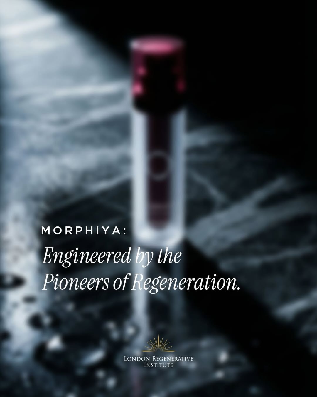 Developed within the innovative ecosystem of the London Regenerative Institute, Morphiya is the bridge between clinical 