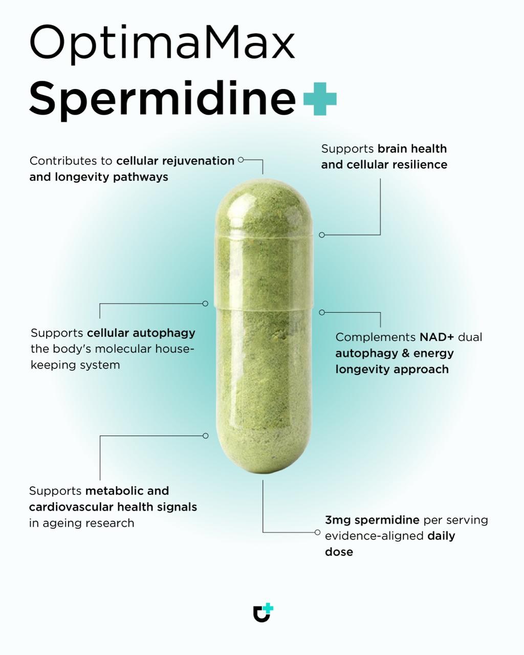 Your longevity stack, simplified.
Meet three of our most powerful OptimaMax supplements, each one carefully formulated