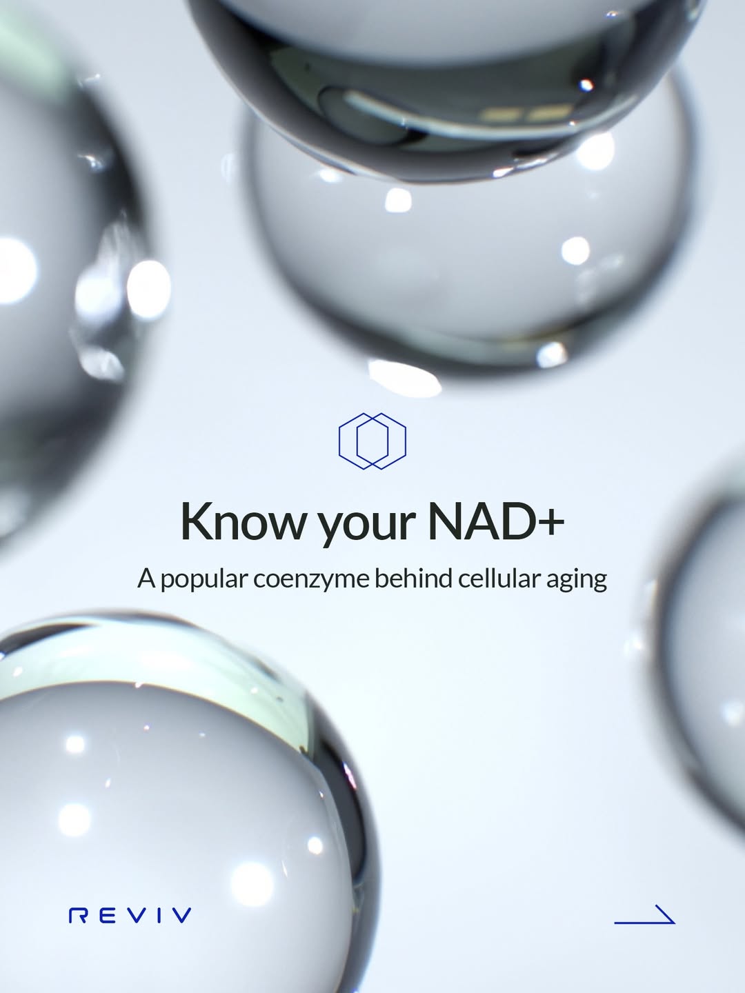 NAD+ levels can drop by up to 50% as you age.

It’s one of the key molecules your cells rely on for energy production, 