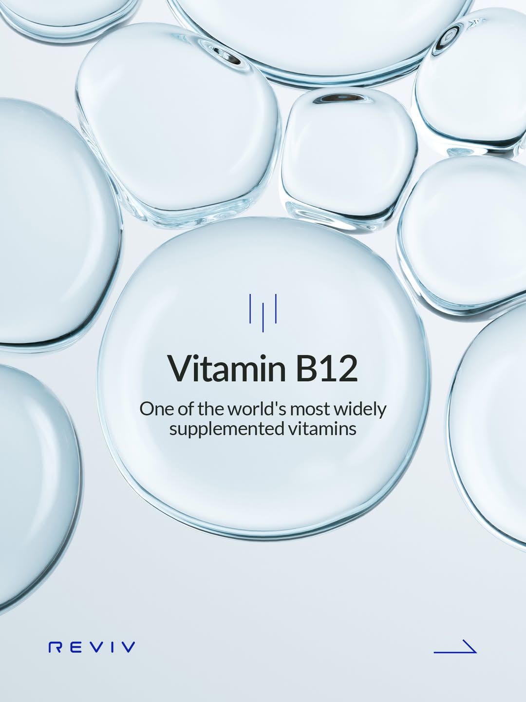 Low energy isn't always about sleep.

Swipe for a closer look at Vitamin B12 and why it's one of the world's most supple