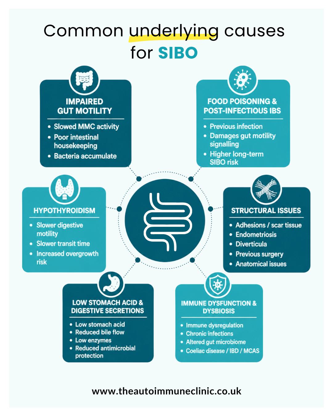SIBO is often considered as a bacterial overgrowth problem only, but in many cases the more important question is:
Why d