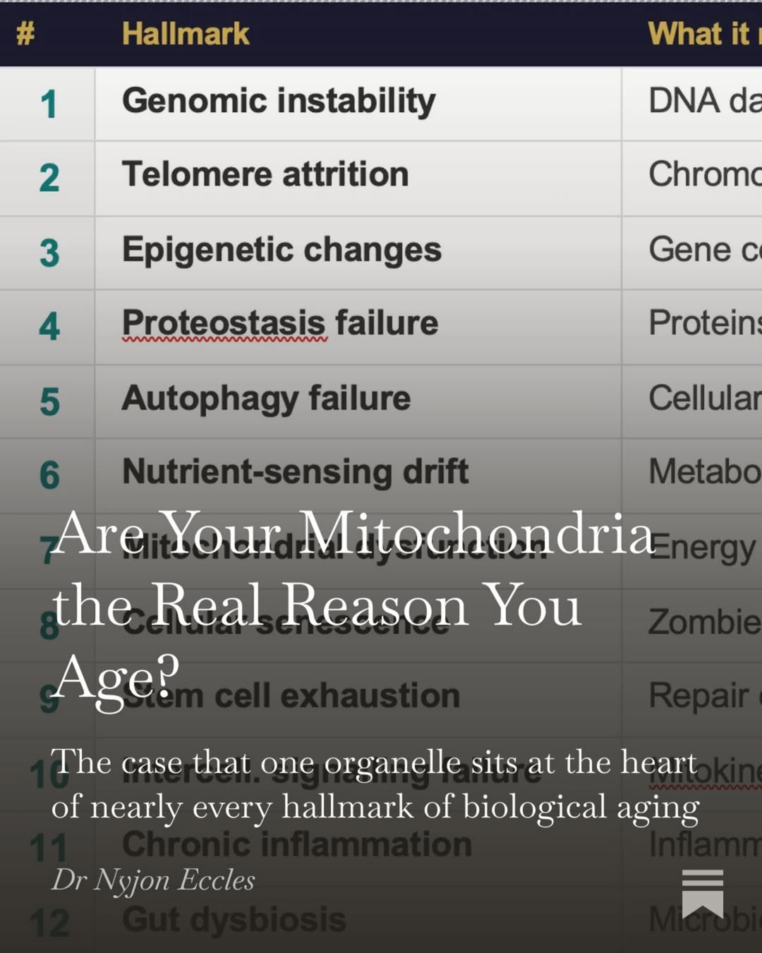Ageing is often explained through 12 interconnected biological hallmarks, including DNA damage, chronic inflammation, ce